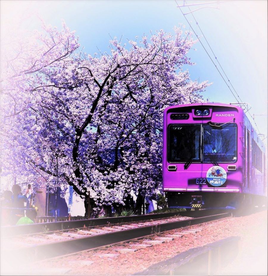Photo Title